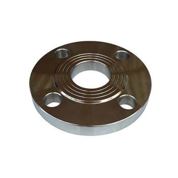 Forged High Quality 304/304L & 316/316L & 321& 904L Stainless Steel Flange 