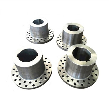 Uns S32205 DN250 Class 150 Orifice Flange Duplex 2205 Stainless Steel Slip on / Blind / Plate / Clona Forged Flange Cdfl228 